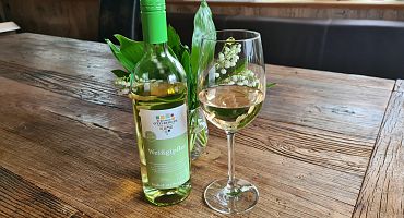 bio-wein-weisgipfler-1