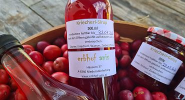 kriecherl-sirup-1