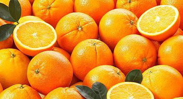 pr-orangen050-1