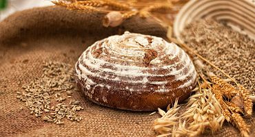 roggenbrot-1